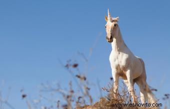 235 nombres de caballos famosos y sus significados