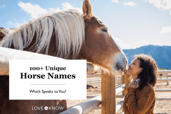 Más de 100 nombres de caballos únicos:¿cuál te habla?