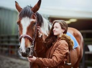 Más de 100 Nombres Únicos para Caballos: ¡Encuentra el Ideal para tu Compañero!