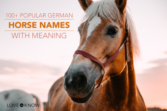 Más de 100 nombres de caballos alemanes populares (con significados)