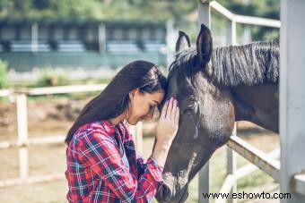 133 nombres de caballos lindos que son irresistiblemente entrañables