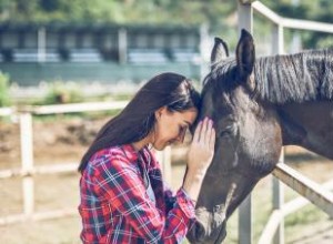 133 nombres de caballos lindos que son irresistiblemente entrañables