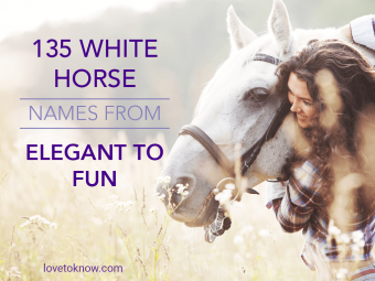 135 nombres de caballos blancos de elegantes a divertidos