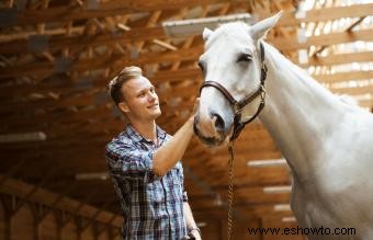 135 nombres de caballos blancos de elegantes a divertidos