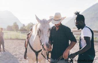 135 nombres de caballos blancos de elegantes a divertidos