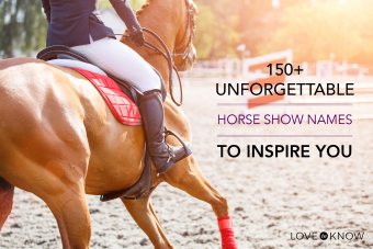 Más de 150 nombres inolvidables de espectáculos de caballos para inspirarte