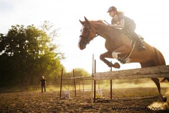 Más de 150 nombres inolvidables de espectáculos de caballos para inspirarte