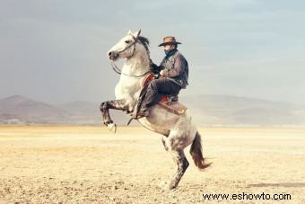 Más de 200 nombres de caballos occidentales:ideas divertidas, famosas y únicas