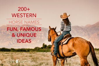 Más de 200 nombres de caballos occidentales:ideas divertidas, famosas y únicas