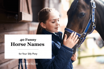 40 nombres divertidos de caballos para tu tonto pony