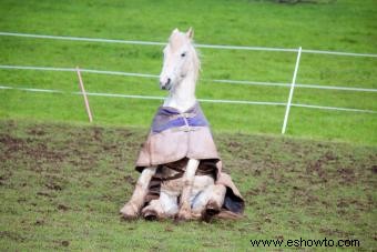 40 nombres divertidos de caballos para tu tonto pony