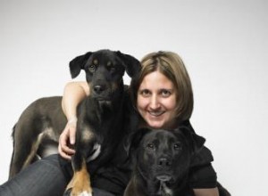 Guía experta de Inés de Pablo: Preparación para huracanes con mascotas pequeñas