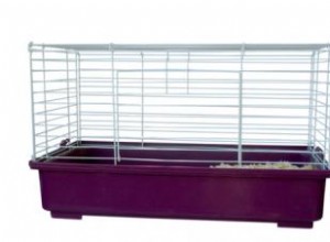 Mejores Jaulas para Cobayas: Guía Experta con Recomendaciones y Consejos Prácticos