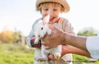 Más de 100 nombres de conejos divertidos y chiflados