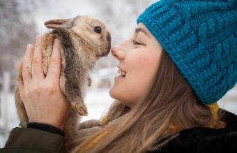 Más de 100 nombres de conejos divertidos y chiflados