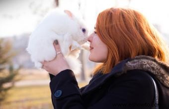 Más de 70 nombres de conejitos blancos, de dulces a creativos