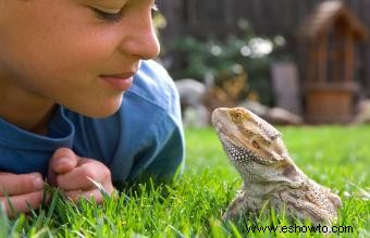 Nombres para reptiles domésticos