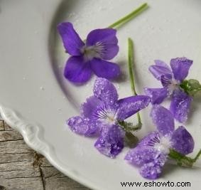 Flores comúnmente usadas para decorar