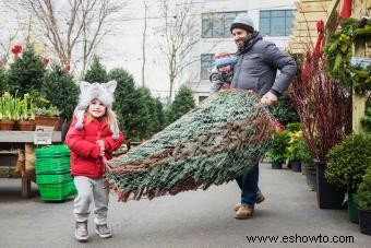 12 formas sencillas de hacer que su árbol de Navidad dure más