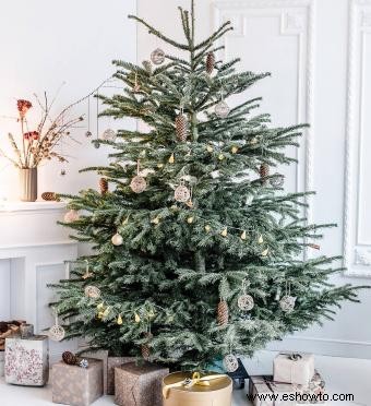 12 formas sencillas de hacer que su árbol de Navidad dure más