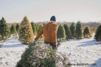 Árbol de Navidad Significado:detrás de la amada tradición