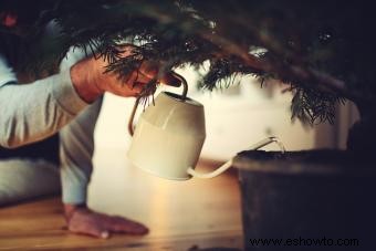 Alquiler de un árbol de Navidad viviente para unas vacaciones sin culpa