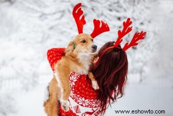 30 leyendas navideñas para tu perro que son increíblemente adorables