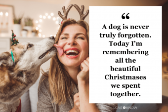 30 leyendas navideñas para tu perro que son increíblemente adorables