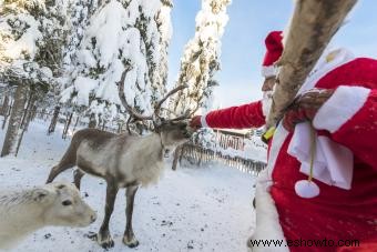 Lista de renos de Papá Noel:nombres, personalidades y género