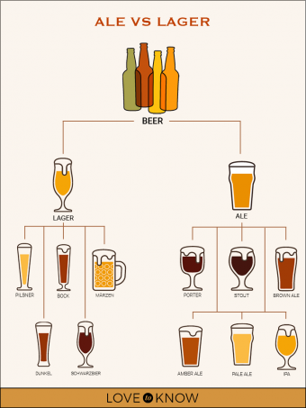 Diferencias entre Ale, Lager y Beer:conoce tu cerveza 