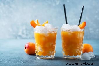 Fuzzy Navel Slush Receta:una bebida fresca y encantadora 