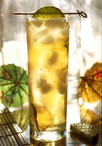 10 cócteles Ginger Ale con el toque perfecto