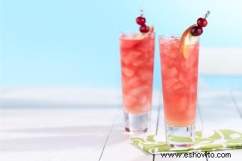 18 recetas sencillas de bebidas sin alcohol para agregar a su menú