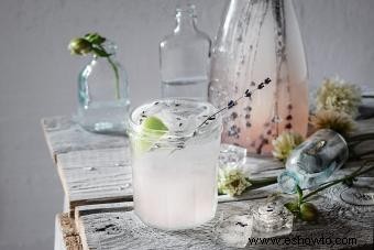 Gin casera con sabor:recetas sencillas (pero impresionantes) con infusión