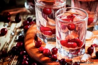 Gin casera con sabor:recetas sencillas (pero impresionantes) con infusión