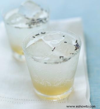 Recetas de cócteles Gin Fizz que nunca pasan de moda