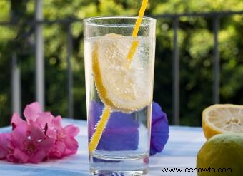 Recetas de cócteles Gin Fizz que nunca pasan de moda