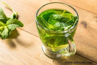 Crème de Menthe casera:pasos simples para hacer un favorito de menta