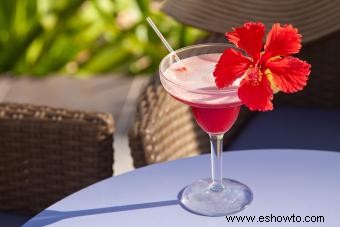 Receta de cóctel margarita de hibisco vibrantemente rica