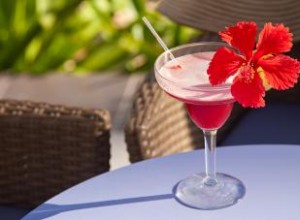 Receta Fácil de Margarita de Hibisco: Vibrante, Deliciosa y Auténtica