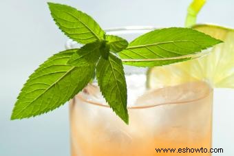 Vodka y Ginger Ale dietético:7 cócteles bajos en calorías