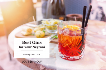 10 mejores ginebras para su Negroni:encontrar su sabor