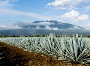 15 recetas de mezcal con sabores únicos