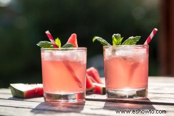 Mezcladores de vodka imprescindibles para bebidas tentadoras