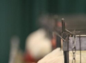 Guía Completa para Entender el Etiquetado de Aves de Corral: Calidad, Seguridad y Elección Inteligente