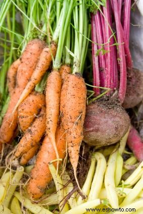 Cómo cocinar verduras al vapor