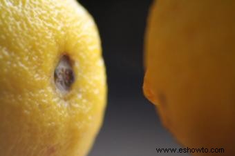 Receta de cuajada de limón