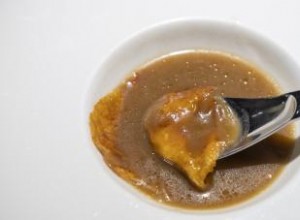 Recetas Clásicas de Sopa de Tortuga Auténtica y Falsa: Deliciosas y Tradicionales