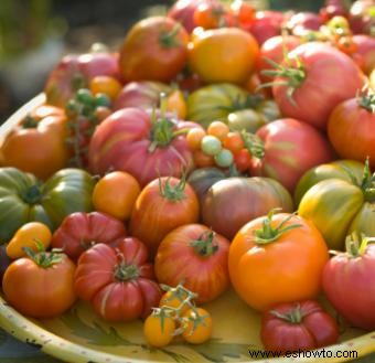Recetas con tomate