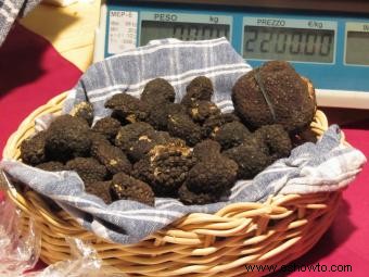 ¿Dónde crecen las trufas?